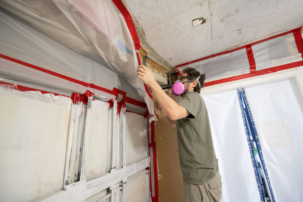 Best Mold Remediation for Healthcare Facilities  in Ida Grove, IA