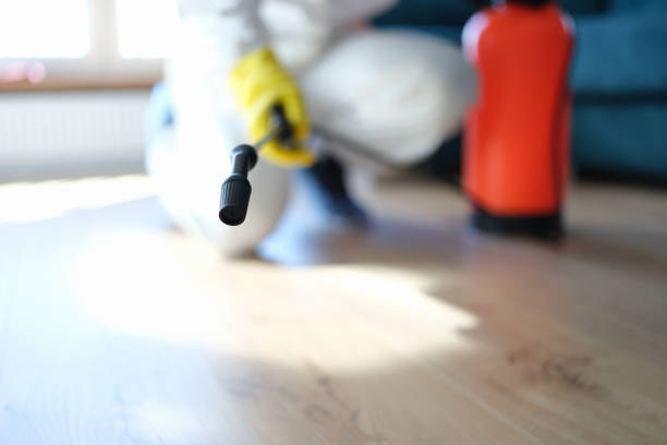 Best Forensic Mold Investigation  in Ida Grove, IA