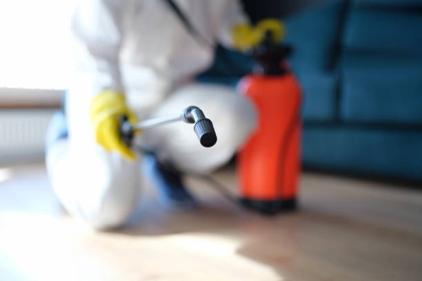 Best Mold Odor Removal Services  in Ida Grove, IA