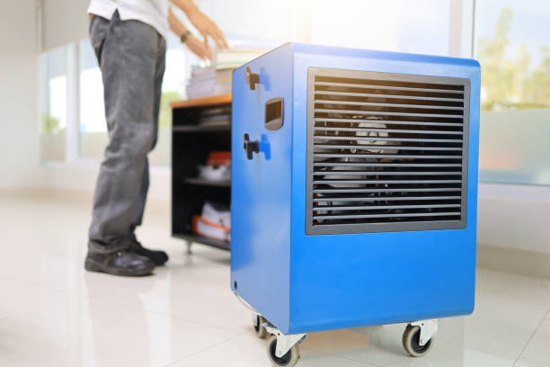 Reliable Ida Grove, IA Mold Removal Solutions